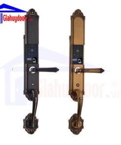 Khóa cửa điện tử 39813