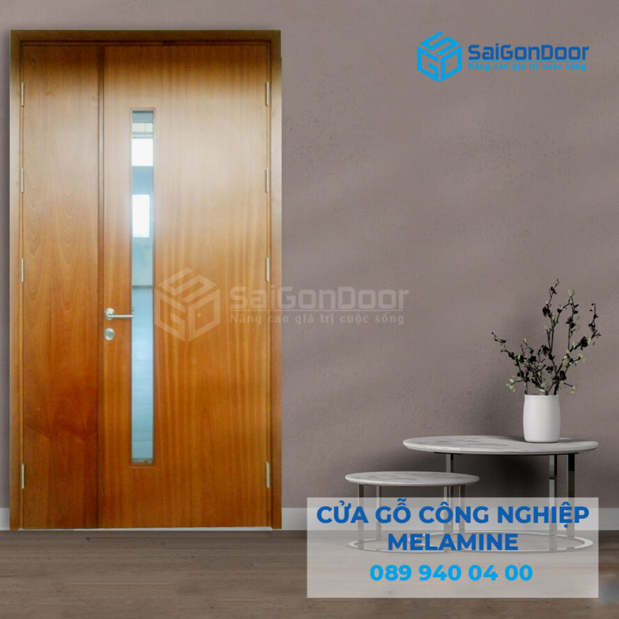 Cửa 2 cánh đẹp quận tại Bình Thạnh