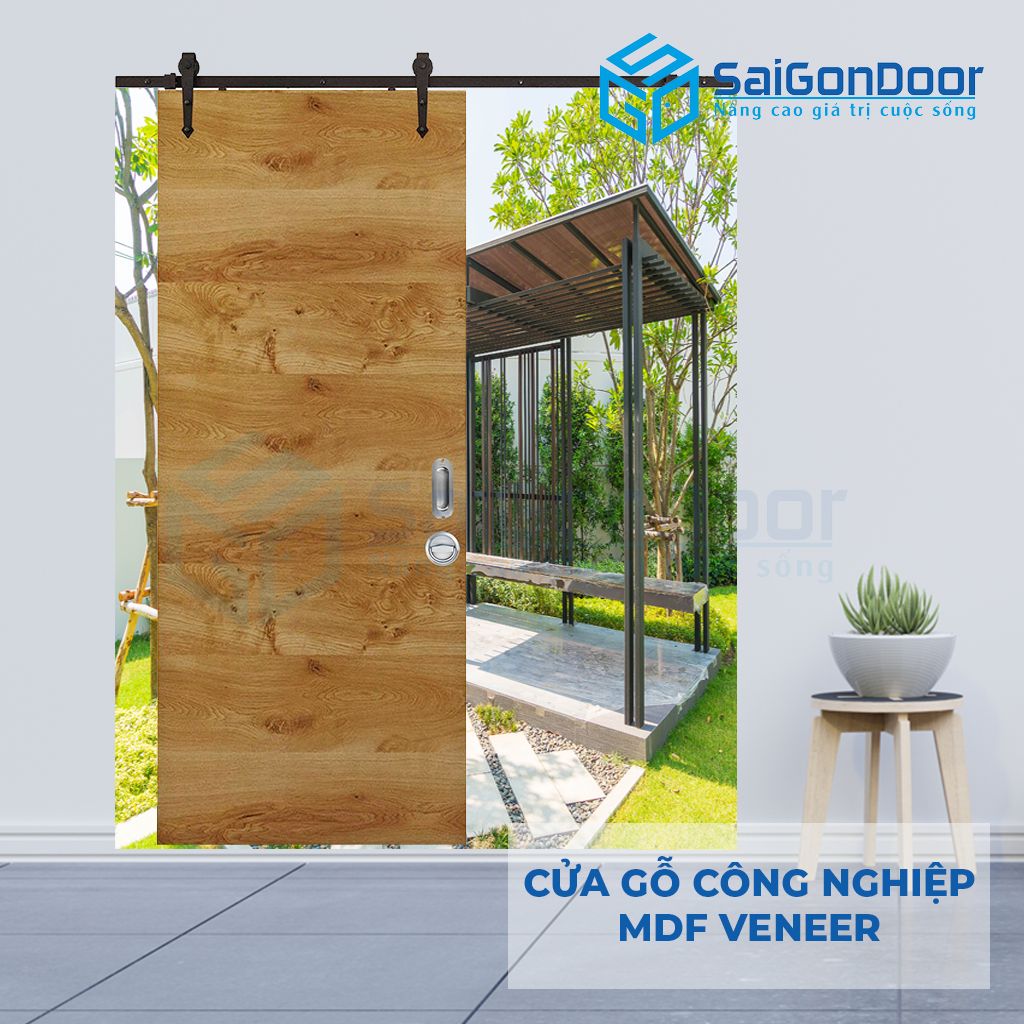 Cửa gỗ công nghiệp MDF Veneer dáng cửa lùa, cửa trượt Cửa gỗ công nghiệp MDF Veneer dáng cửa lùa, cửa trượt