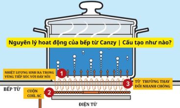 Cấu tạo và nguyên lý hoạt động của bếp từ Canzy