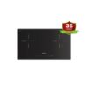 Bếp từ Faster FS 2502 IPLUS