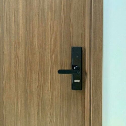 Ảnh khóa vân tay thông minh GIOVANI GSL-K591B