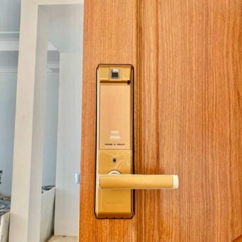 Ảnh khóa vân tay thông minh GIOVANI GSL-K66FG