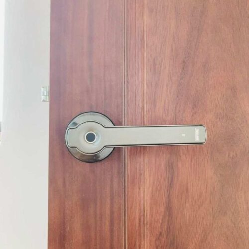 Ảnh khóa vân tay thông minh GIOVANI GSL-S3