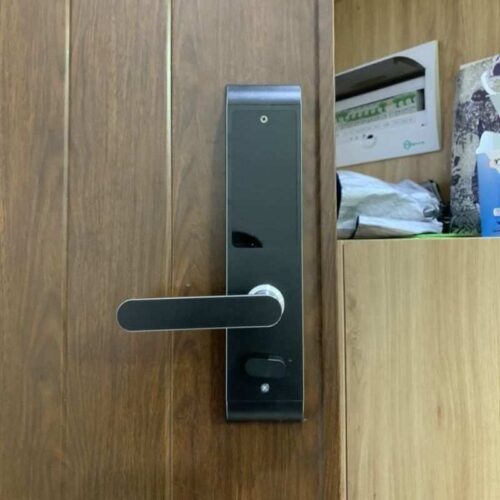 Ảnh khóa vân tay thông minh GIOVANI GSL-U311B