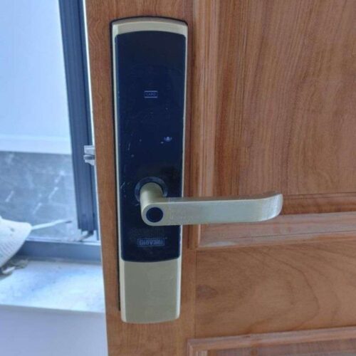 Ảnh khóa vân tay thông minh GIOVANI GSL-U801G