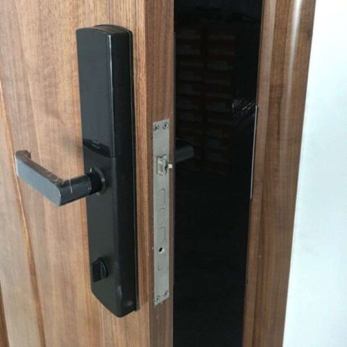 Hình khóa vân tay thông minh GIOVANI GSL-U801B