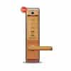 Khóa điện tử thông minh Giovani GSL-K66FG 1 Khóa điện tử thông minh Giovani GSL-K66FG
