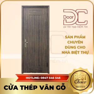 Cửa Thép Vân Gỗ DC24.TVG-1C.11