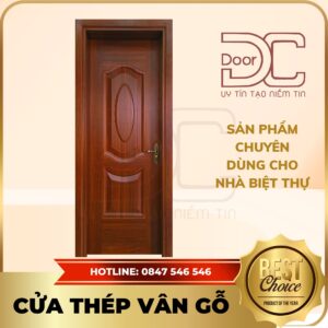 Cửa Thép Vân Gỗ DC24.TVG-1C.16