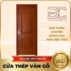 Cửa Thép Vân Gỗ DC24.TVG-1C.2
