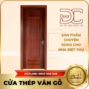 Cửa Thép Vân Gỗ DC24.TVG-1C.24