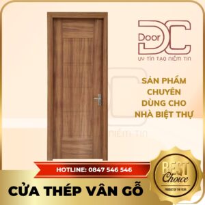 Cửa Thép Vân Gỗ DC24.TVG-1C.35