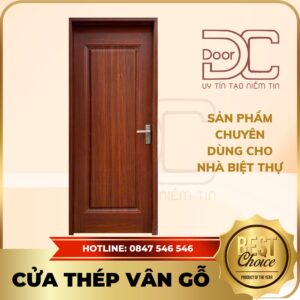 Cửa Thép Vân Gỗ DC24.TVG-1C.37