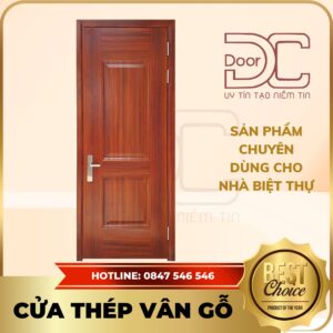 Cửa Thép Vân Gỗ DC24.TVG-1C.41