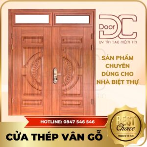 Cửa Thép Vân Gỗ DC24.TVG-2C.11