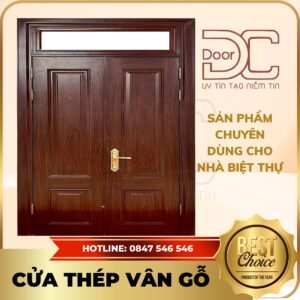 Cửa Thép Vân Gỗ DC24.TVG-2C.12