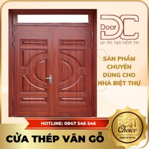 Cửa Thép Vân Gỗ DC24.TVG-2C.13