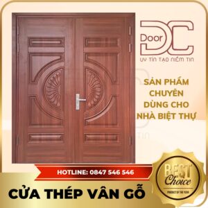 Cửa Thép Vân Gỗ DC24.TVG-2C.14