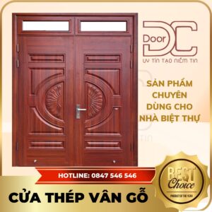 Cửa Thép Vân Gỗ DC24.TVG-2C.15