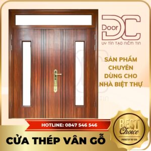 Cửa Thép Vân Gỗ DC24.TVG-2C.16