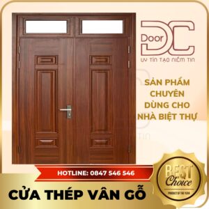 Cửa Thép Vân Gỗ DC24.TVG-2C.3