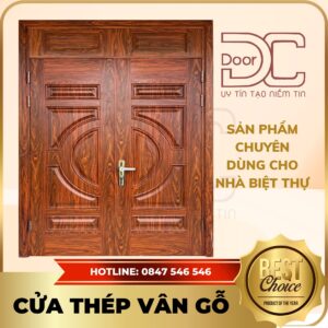 Cửa Thép Vân Gỗ DC24.TVG-2C.6