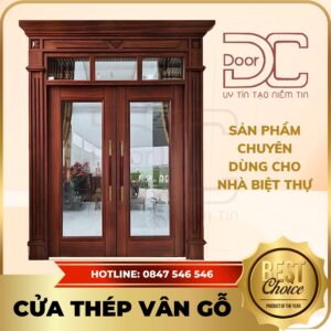 Cửa Thép Vân Gỗ DC24.TVG-2C.9