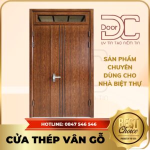 Cửa Thép Vân Gỗ DC24.TVG-2CL.11