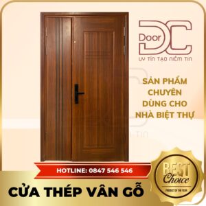 Cửa Thép Vân Gỗ DC24.TVG-2CL.12