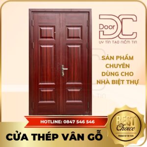 Cửa Thép Vân Gỗ DC24.TVG-2CL.5