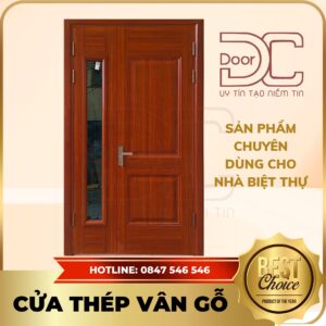 Cửa Thép Vân Gỗ DC24.TVG-2CL.9