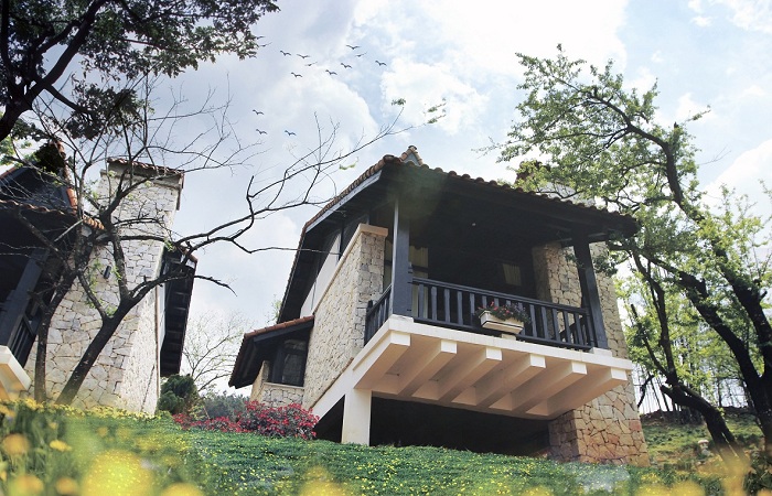 biệt thự vườn mận