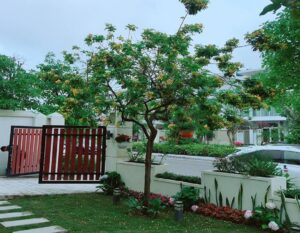 6 Phòng Ngủ - Sân Vườn Rộng 27 biet thu flc sam son 6pn co be boi 15