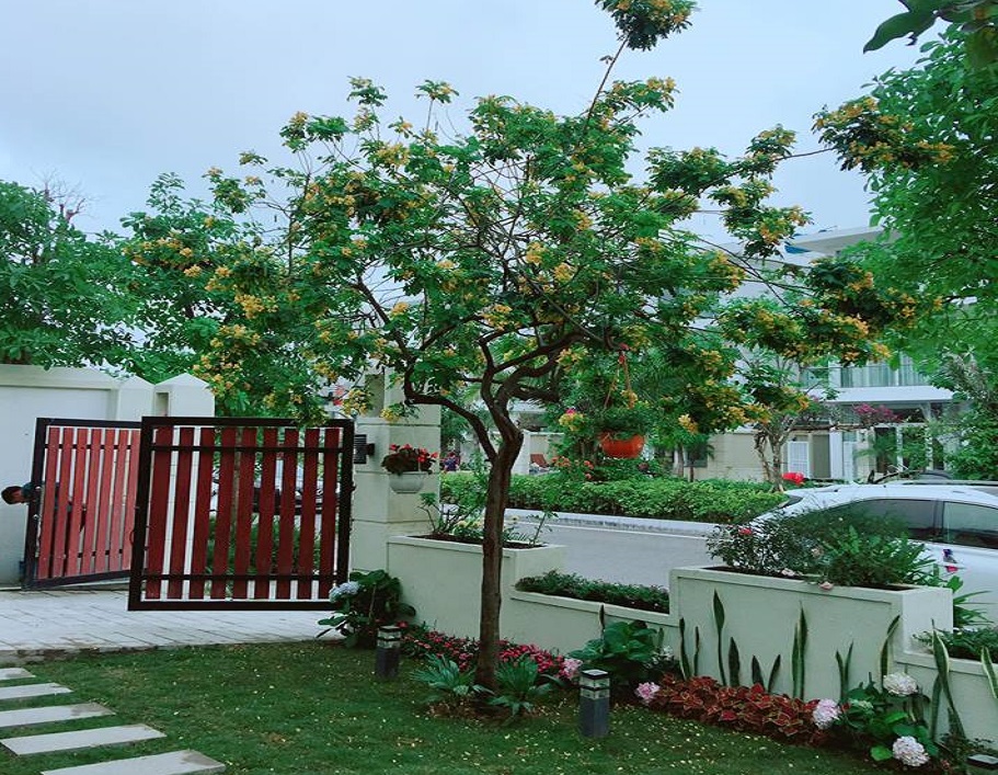 6 Phòng Ngủ - Sân Vườn Rộng 9 6 Phòng Ngủ - Sân Vườn Rộng - Ảnh 7
