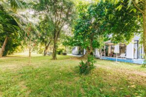 Villas 6 Phòng Ngủ - Rộng 500m2 25 villa 6pn to 1