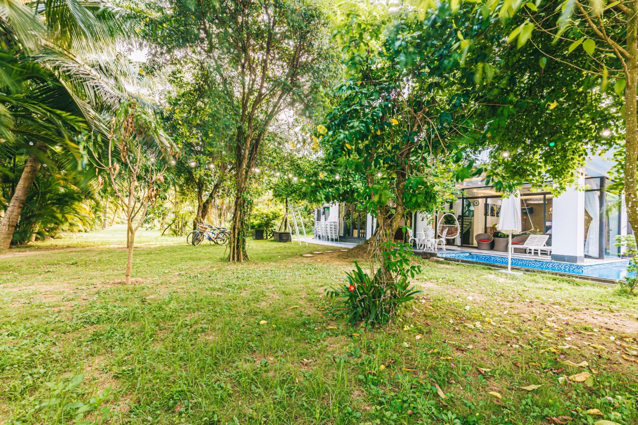 Villas 6 Phòng Ngủ - Rộng 500m2 4 Villas 6 Phòng Ngủ - Rộng 500m2 - Ảnh 2