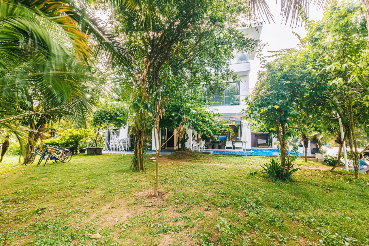 Villas 6 Phòng Ngủ - Rộng 500m2 5 Villas 6 Phòng Ngủ - Rộng 500m2 - Ảnh 3