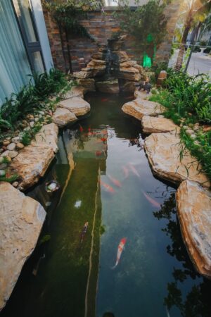 Villa 8 Phòng Ngủ - Có Hồ Cá Coi, Nội Thất Cao Cấp 36 z3473602454375 ad5a67f7c43c9169e9ace098afee155b