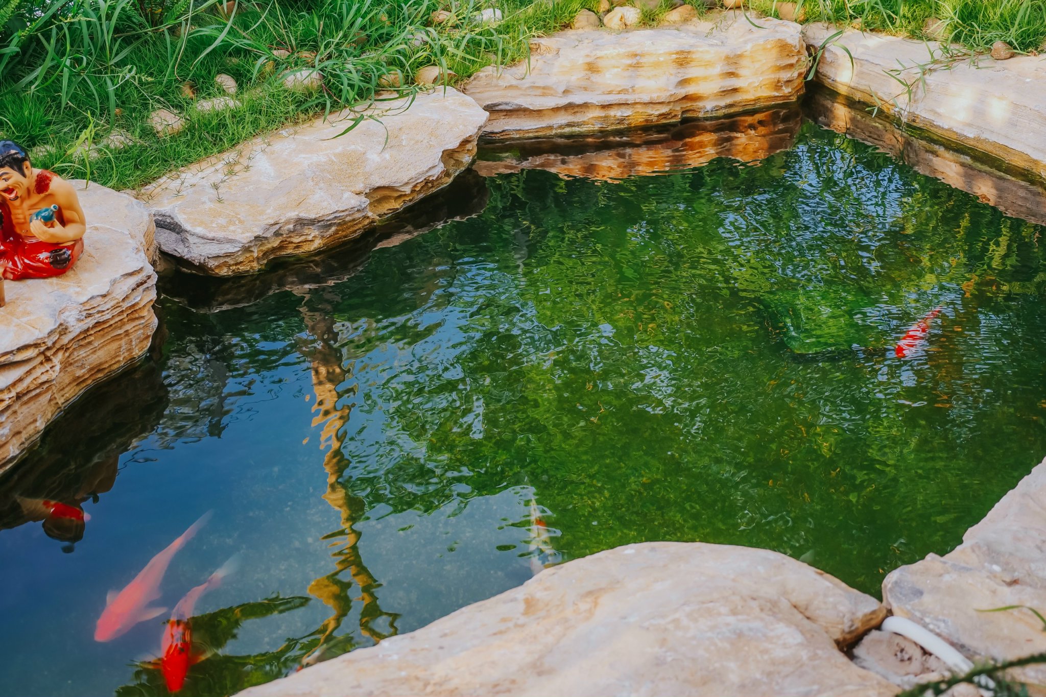 Villa 8 Phòng Ngủ - Có Hồ Cá Coi, Nội Thất Cao Cấp 22 Villa 8 Phòng Ngủ - Có Hồ Cá Coi, Nội Thất Cao Cấp - Ảnh 20