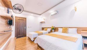Villa 7 Phòng Ngủ Đôi - Có Sân Vườn Đẳng Cấp 1000m2 48 villa 7pn doi san vuon rong 25