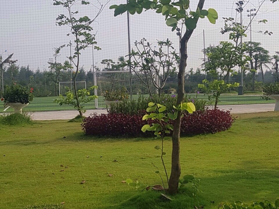 Biệt Thự FLC Sầm Sơn Có Bể Bơi
