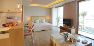 Studio Suite 1
