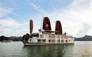 Du thuyen Pelican 1
