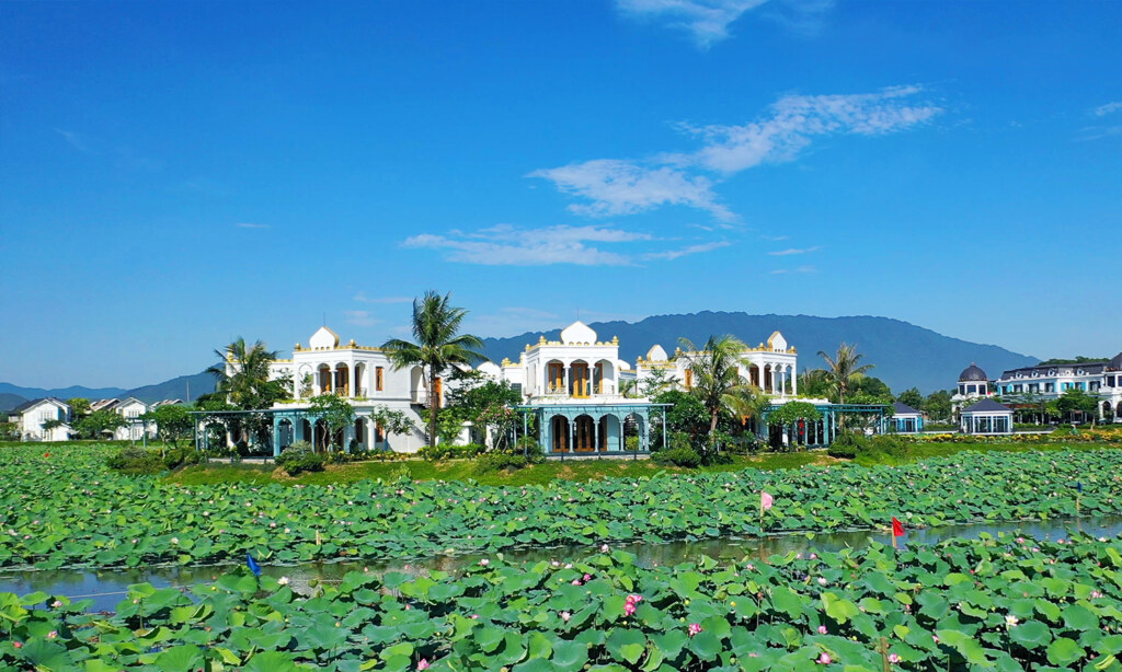 dao hoa 8