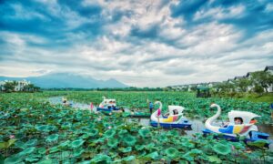 "Khoáng Nóng" Vườn Vua Resort - Phú Thọ 19 dap thuyen 1