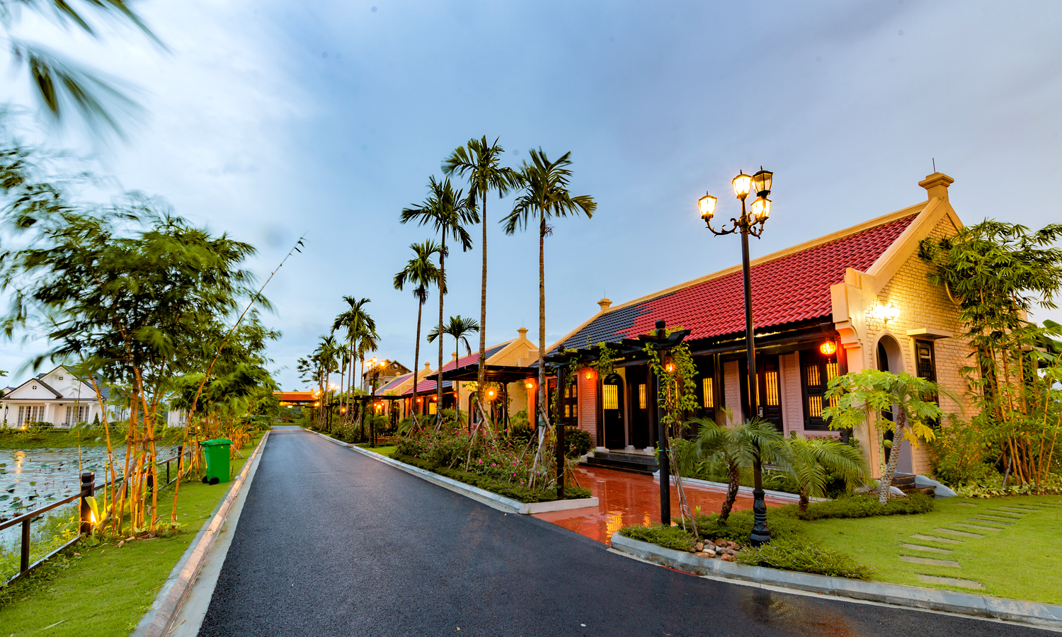hong_lien_11 hong lien 11
