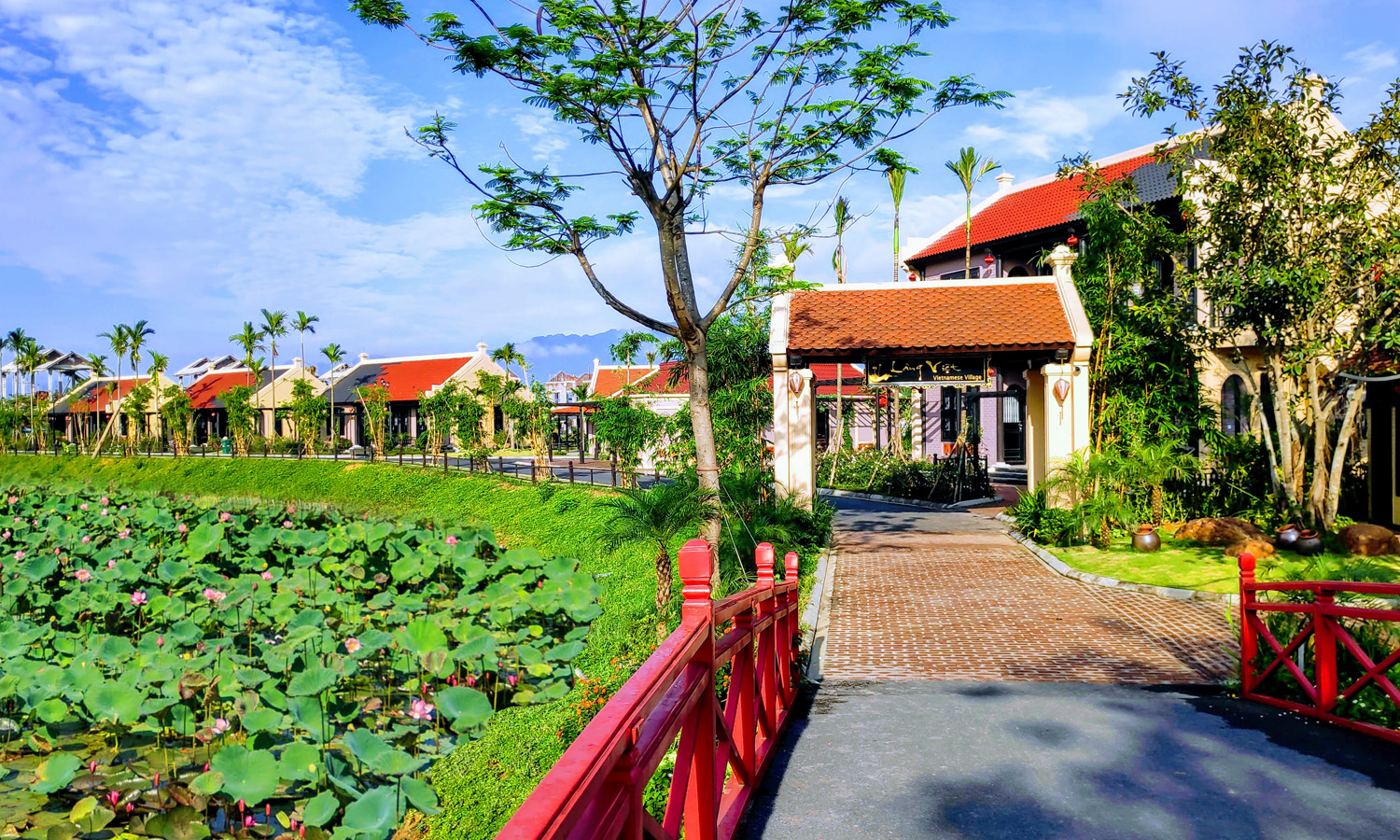 hong_lien_13 hong lien 13