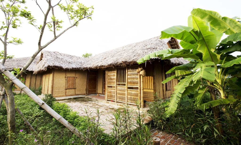 nha chi dau 1