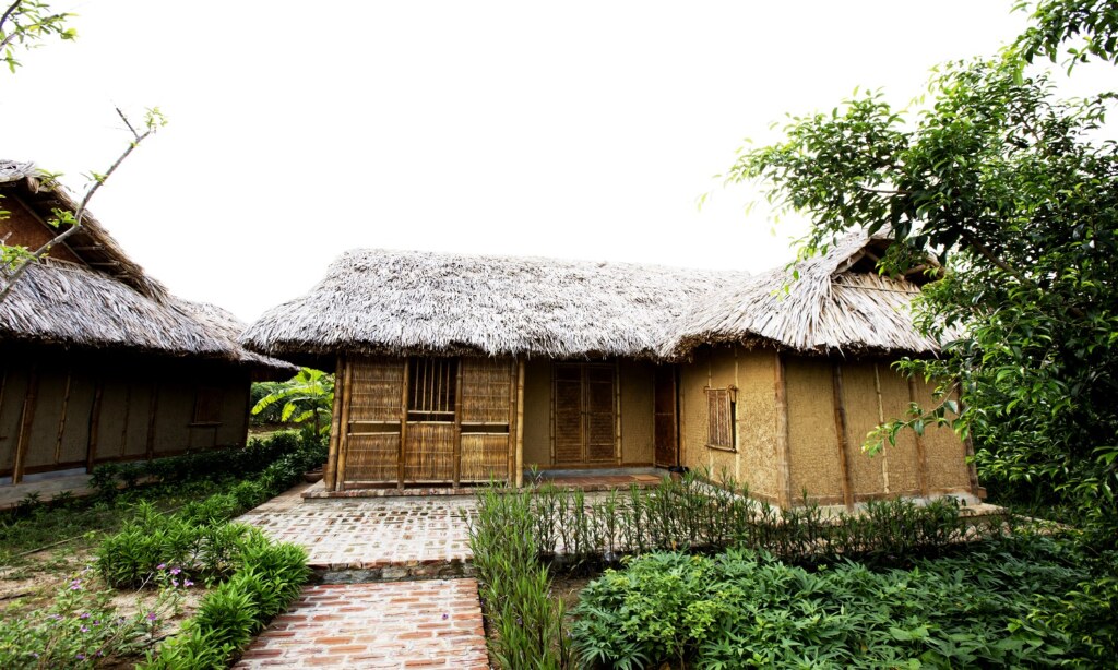 nha chi dau 2